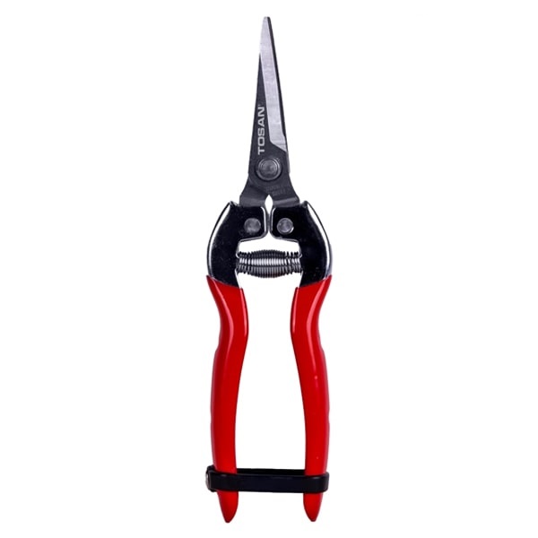  قیچی میوه چین توسن مدل T550 