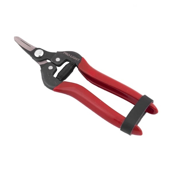  قیچی میوه چین لایت مدل 803B-1 